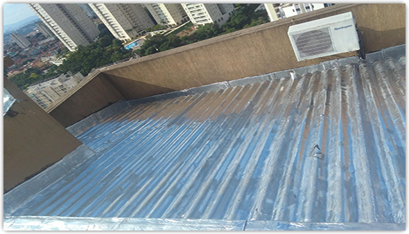 Len&ccedil;&oacute;is de Borracha